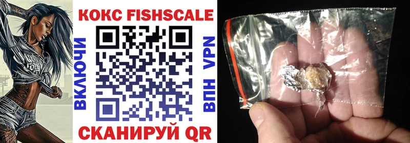 купить наркотик Заводоуковск КОКАИН Fish Scale