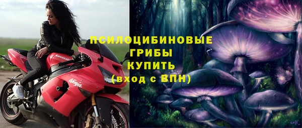амф Абаза