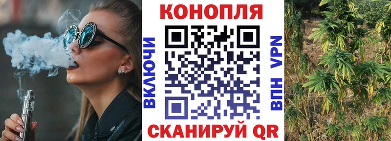 где купить наркоту  Заводоуковск  Каннабис Ganja 